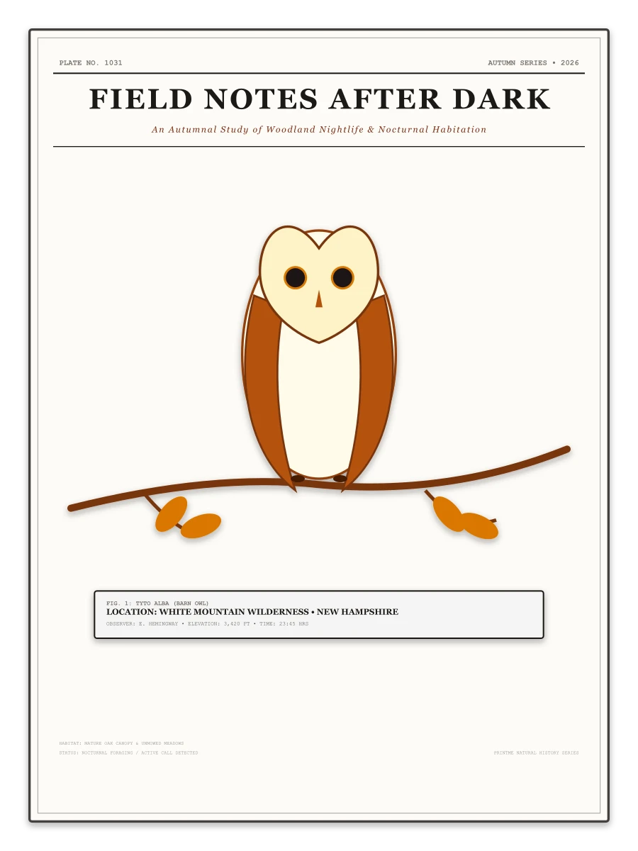 Field Notes After Dark naturalist autumn woodland study plate